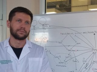 Ученые нашли генный механизм приостановки развития злокачественной опухоли мозга