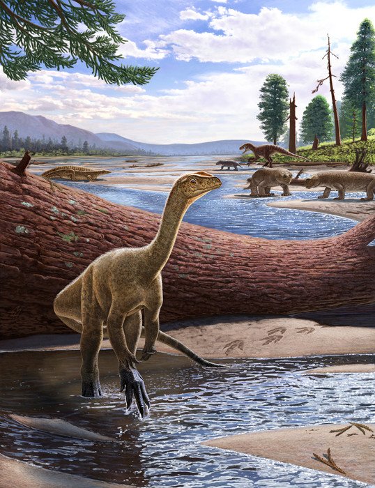 Обнаружена старейшая окаменелость динозавра в Африке