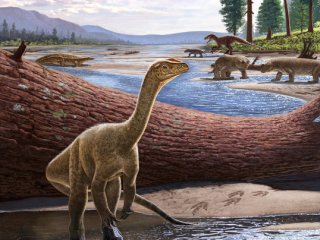 Обнаружена старейшая окаменелость динозавра в Африке