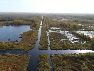Полигональные болота подступают к побережью Арктики, НАО. Фото А. Сирина