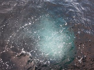 Сипы, которые также называют метановыми фонтанами, с борта корабля. © Сергей Никифоров, 2019