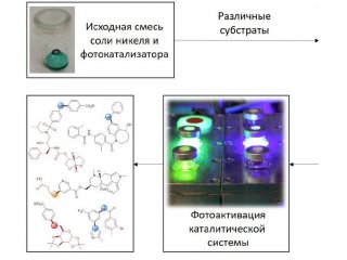 Источник: Валентин Анаников