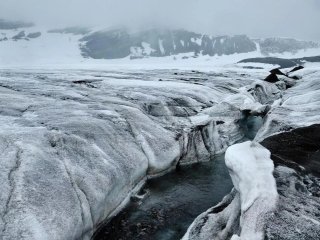 © Фото Максим Курапов. РИА Новости