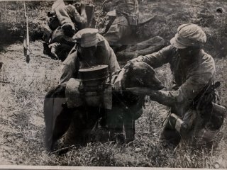 Фото: Наталия Брукмюллер  / ЦМС им. А.С. Попова