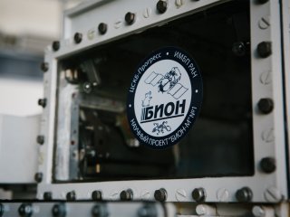 Фото: Ольга Мерзлякова / Научная Россия