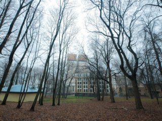 На территории Института физических проблем им. П.Л. Капицы РАН. Фото: Иван Бадиков / «Научная Россия»