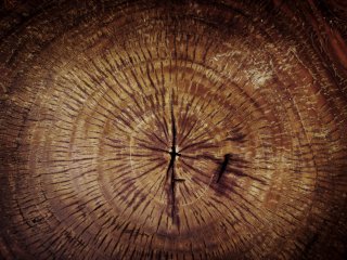 Изображение: rawpixel/Фотобанк RU.123.RF