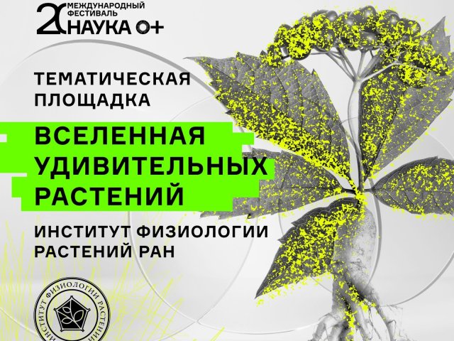 Источник фото: пресс-служба Фестиваля НАУКА 0+ 