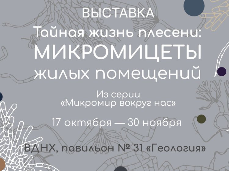 Тайная жизнь плесени
