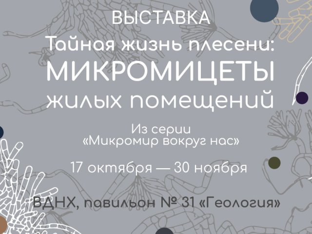Тайная жизнь плесени