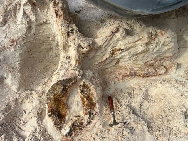 Фото: Дмитрий Григорьев