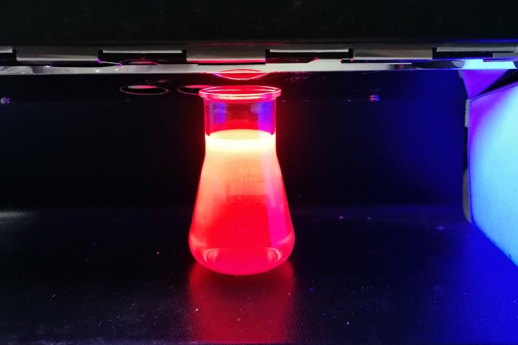 Флуоресценция раствора фотосенсибилизатора BODIPY.Фото предоставлено пресс-службой ННГУ