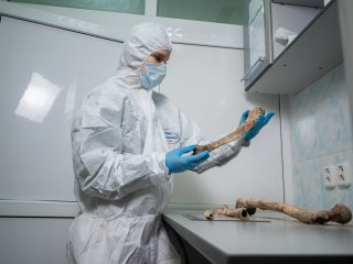 Химический «скальпель» для анализа ДНК и уничтожения опасных патогенов создали российские ученые. Фото предоставлено О.Ю. Арамовой