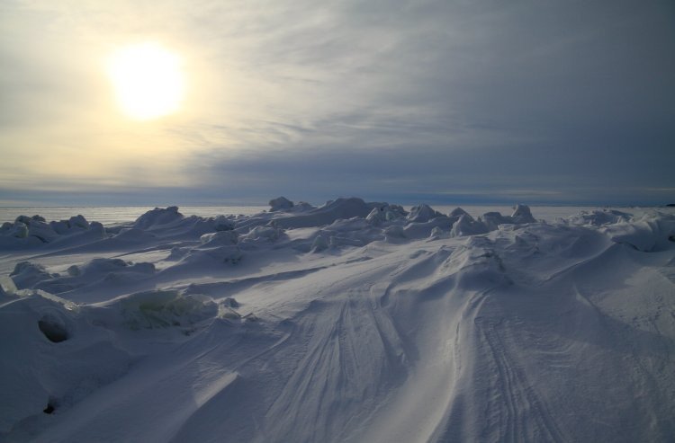 Фото: pelson / 123RF