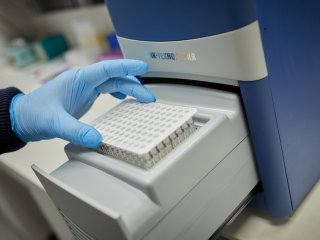 В Институте биологии развития им. Н.К. Кольцова РАН. Фото: Елена Либрик / «Научная Россия»