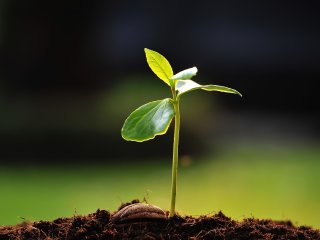 Фото: amenic181 / 123RF