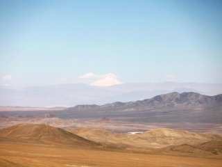 Новое исследование показывает, что различные популяции организмов могут выживать в почве, несмотря на суровые и крайне засушливые условия. Фото: Jan Voelkel / University of Cologne