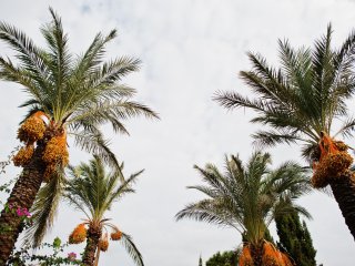 Изображение: Фотобанк Freepik