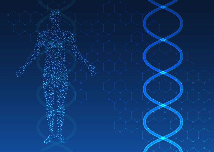 Изображение: Фотобанк Freepik