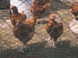 Изображение: cc0collection / Фотобанк ru.123rf.com