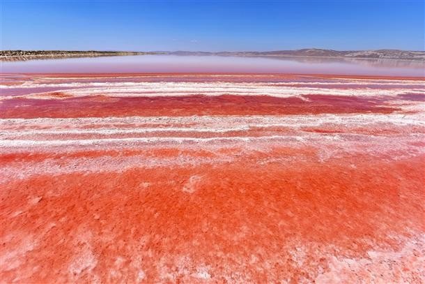 Почему турецкое озеро сделалось красным