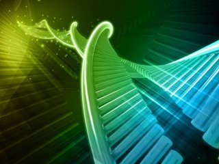 Эпигенетические модификации в ДНК распространены шире, чем считалось