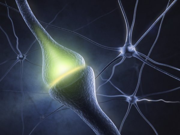 В МФТИ созданы «электронные синапсы»