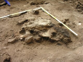 В Испании обнаружены доисторические загоны для скота