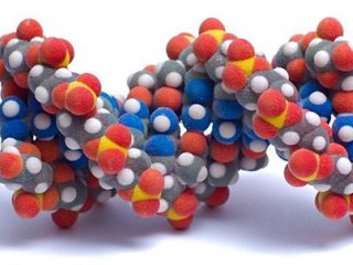 Ученые ИХБФМ СО РАН запатентуют ген-направленные лекарства в США, Европе и Китае