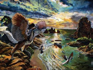 Обнаружен новый вид археоптерикса – древнего предка птиц