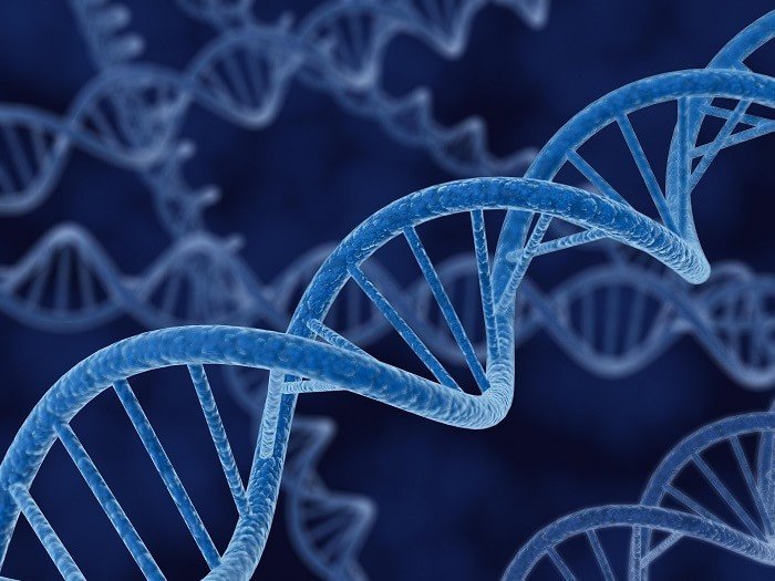В референсном геноме человека отсутствует 30 миллионов кусочков ДНК