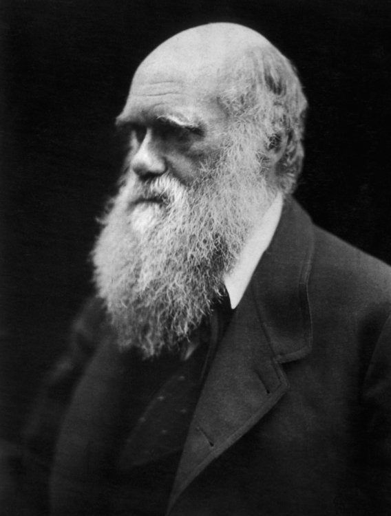 Государственный Дарвиновский музей подготовил специальную программу к 210-летию Чарльза Дарвина