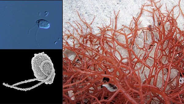 © Фото : Денис Тихоненков