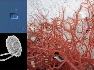 © Фото : Денис Тихоненков