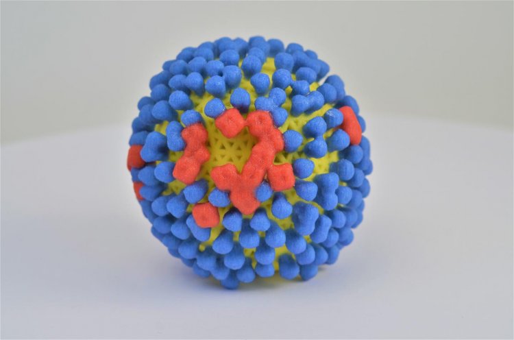 Набор из трех антител для эффективных вакцин против гриппа