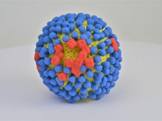 Набор из трех антител для эффективных вакцин против гриппа