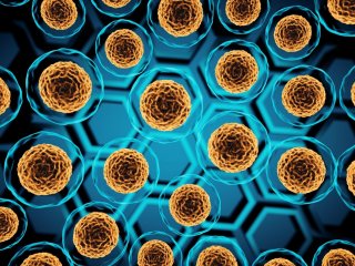 Изображение: ouhdesire/Фотобанк RU.123.RF