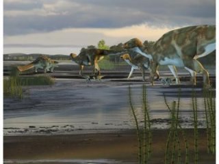 «Губчатые» кости могли выдерживать большой вес «утконосых» динозавров