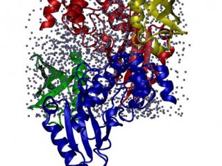 Ученые СПбГУ и Цинхуа вместе займутся высокоточным моделированием белков