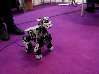 Собака-робот на выставке в Экспоцентре