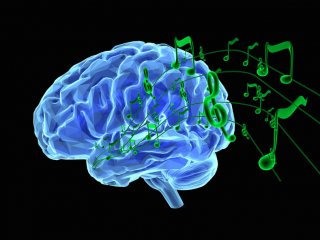 мозг и музыка