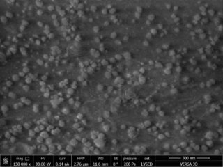 Наночастицы серебра модифицированные биомассой Spirulina platensis