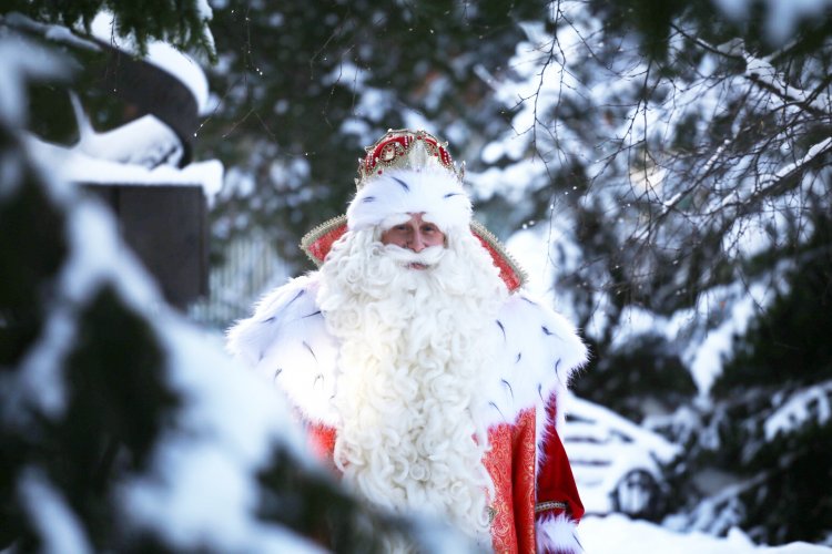 Дед Мороз. Фото: ТВМаг
