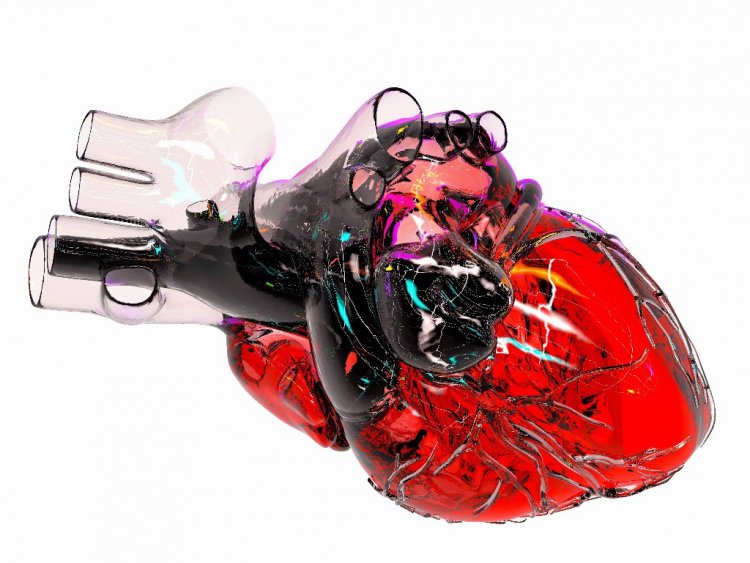 Врачи тренируются на 3D-копиях детских органов