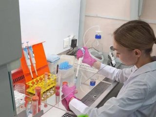 Оценка токсических свойств новых гибридных соединений. Источник Дарья Недопекина