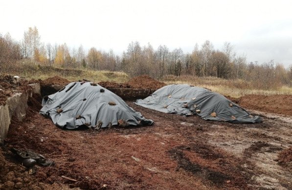 Общий вид компостных буртов. Источник фото: пресс-служба Пермского Политеха