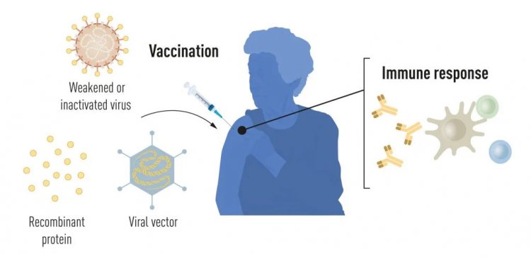 Рисунок 1. Методы производства вакцин до пандемии COVID-19