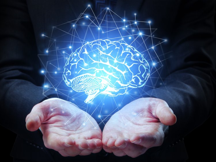 Искусственный интеллект поможет выявлять опухоли мозга без операции. Источник изображения: peshkova / фотобанк 123RF 