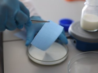 Обработка ткани составом на основе двуокиси титана, наделяющая материал свойством самоочищения под воздействием света. Фото: Елена Панфило / пресс-служба НГУ