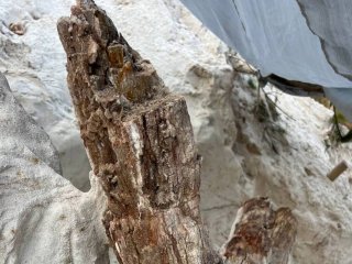 Фото: Дмитрий Григорьев